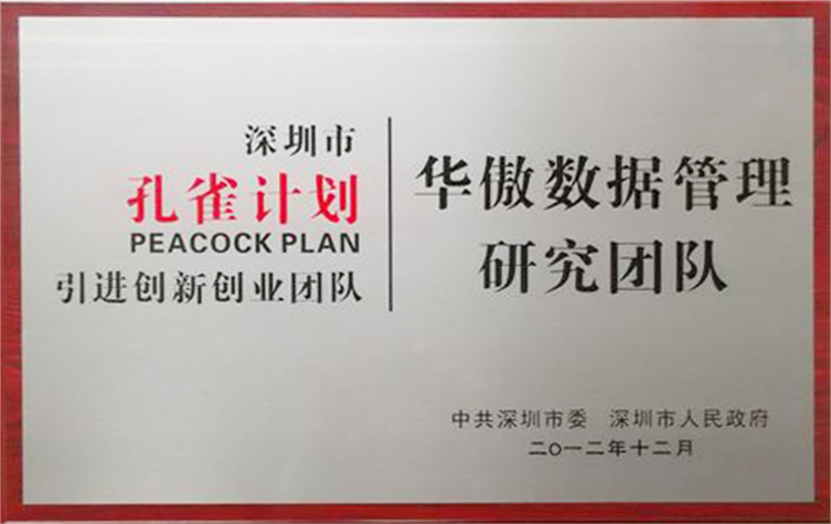 深圳市孔雀团队 深圳市孔雀团队