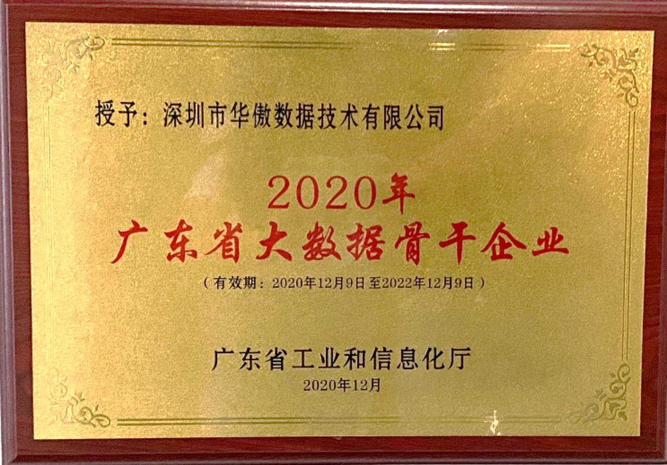 广东省大数据骨干企业 广东省大数据骨干企业