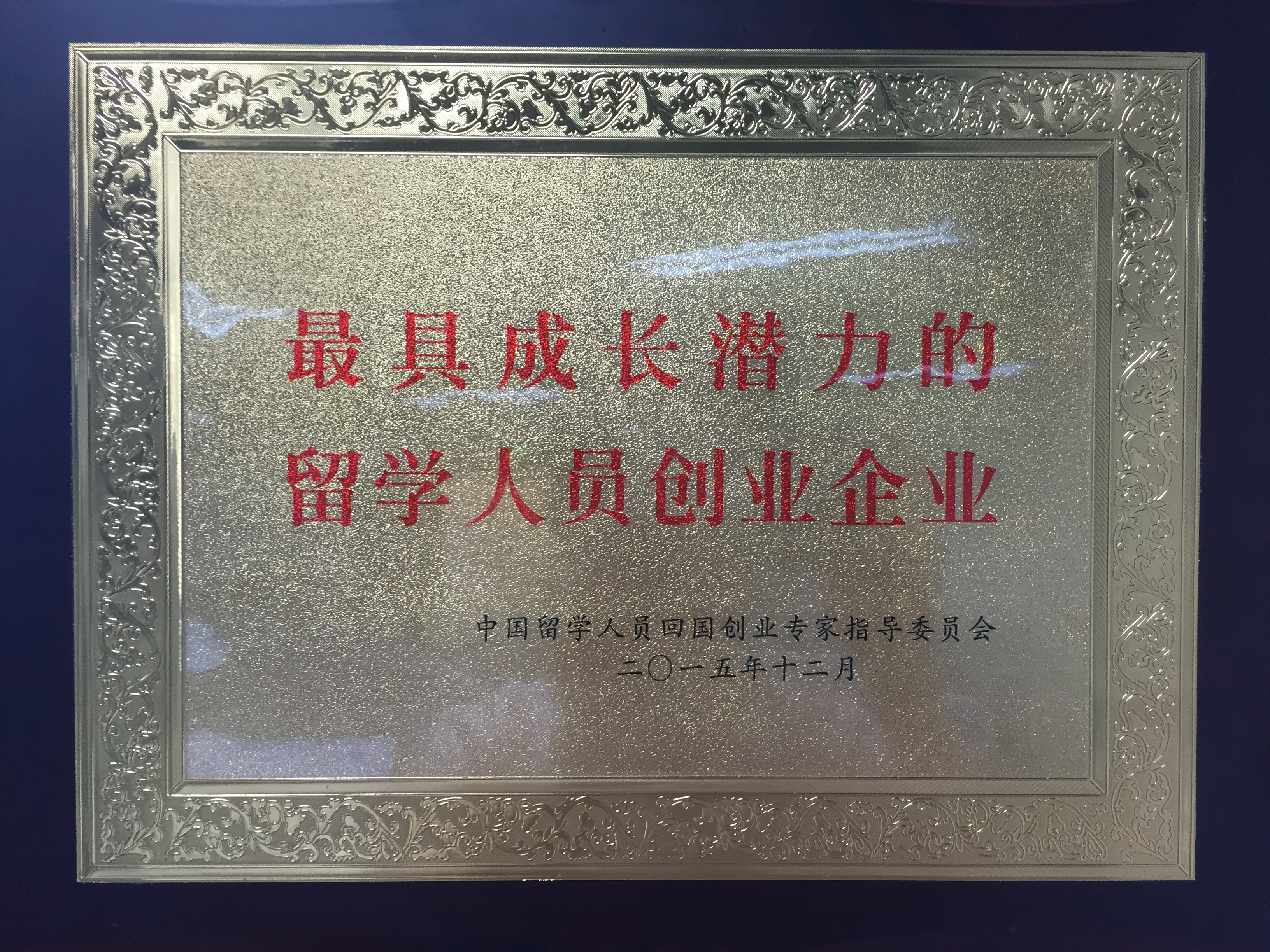 最具成长潜力的留学人员创业企业 最具成长潜力的留学人员创业企业